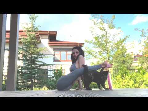 Cat Interrupts Owner While She Demonstrates Her Flexibility Through Contortion - 1097646