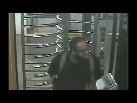 NYC Subway Pepper Spray Incident