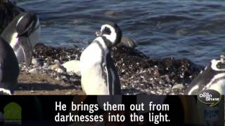 10 Facts about the Qur'an
1.Preserved in Arabic word-for-word, without any alterations for over 1400 years, as revealed to...