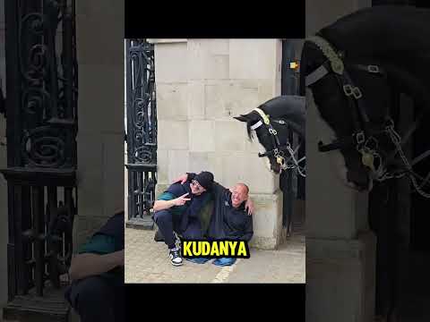 Pertemuan dengan kuda kerajaan