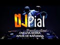OVELHA NEGRA - AMOR DE RAPARIGA #DjPial