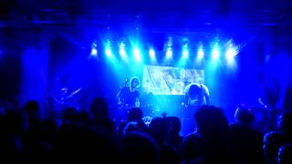 Desaparecidos - Golden Parachutes Live