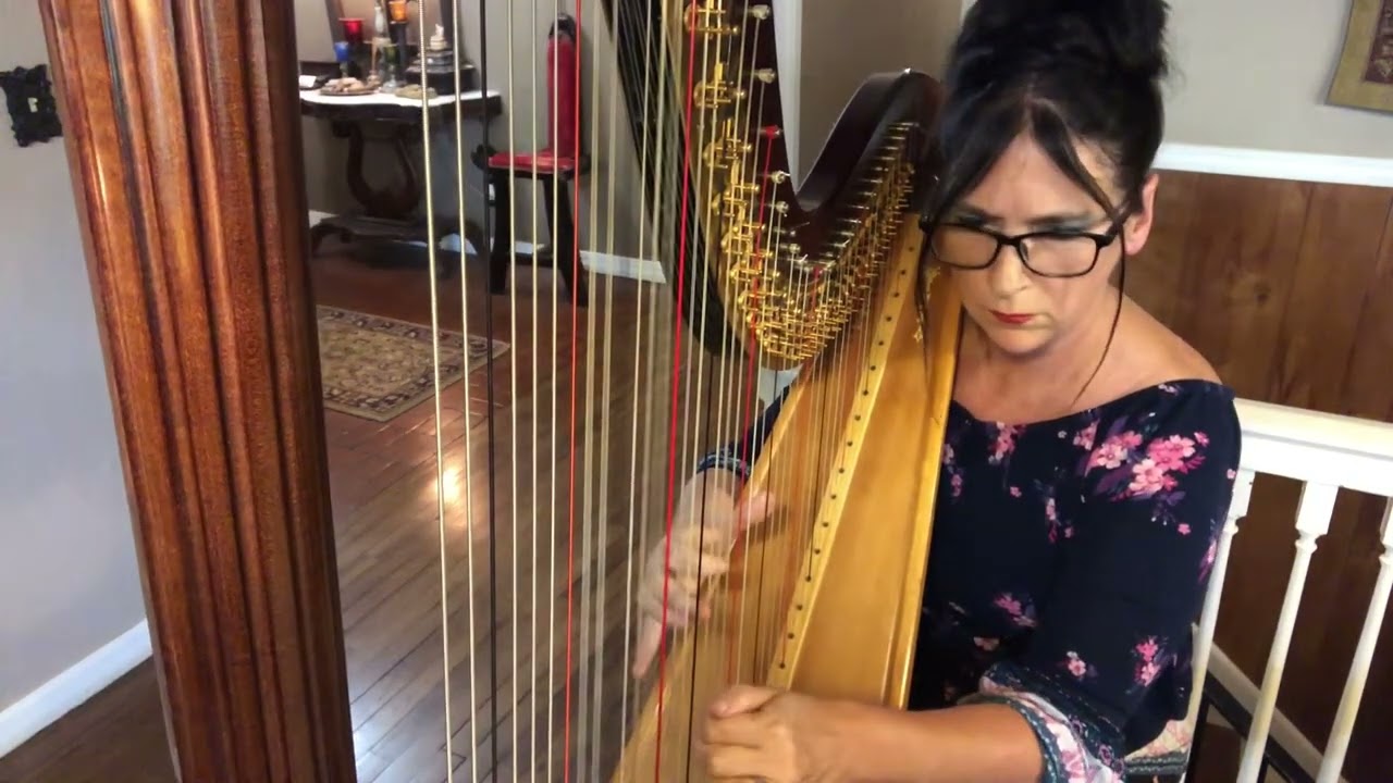 Promotional video thumbnail 2 for Harpist/Pianist Gina Edwards