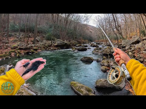 Fly Fishing with Streamers: BIG vs SMALL - Which works best? (brown trout)