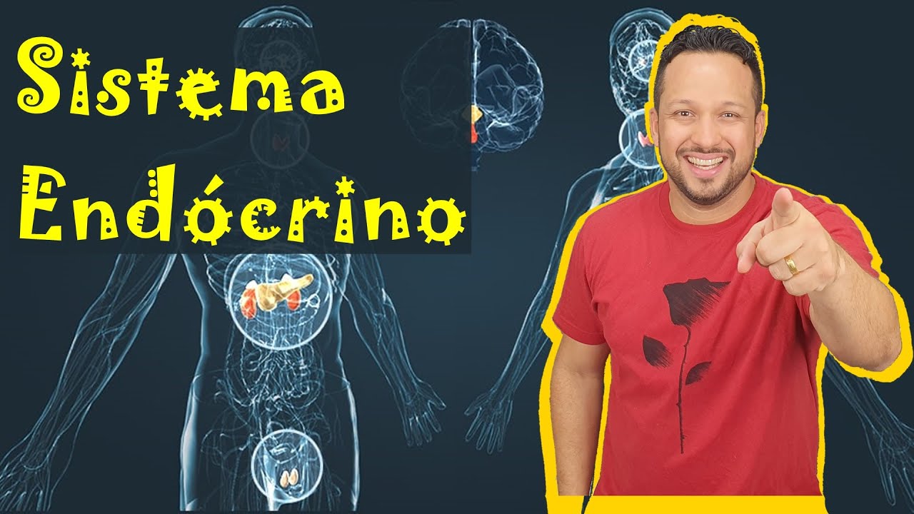 Sistema Endócrino - Conceito, Função e Componentes -  Hormônios - Fisiologia Humana - Aula 1
