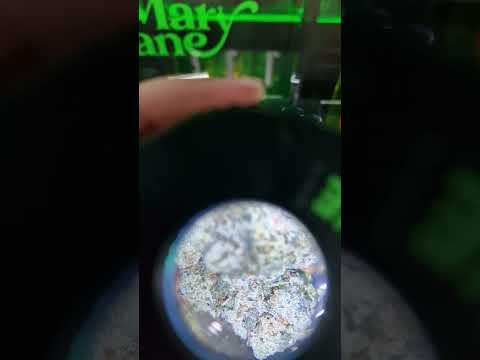 T(high)land 2023 🤘🏼🔥💥❤️ #thailand #420