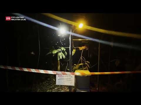 Amber Lighting Research Video - ELM Lighting Sdn Bhd