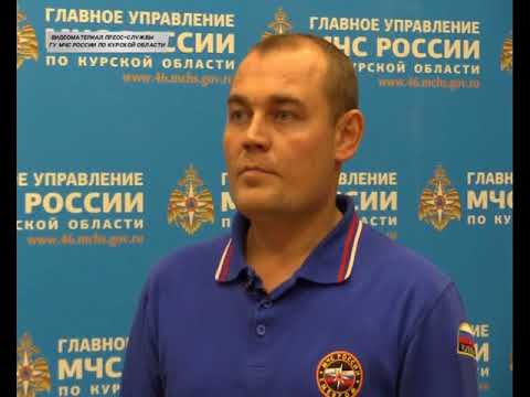 Необычное ДТП произошло в Курской области.