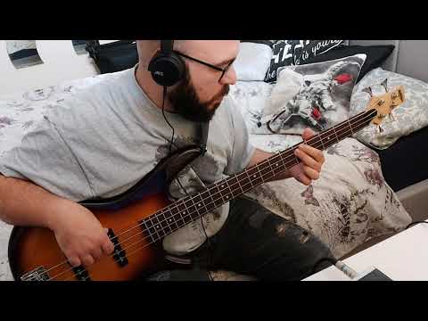 Lenny Kravitz  - Stand by my woman - Bass Cover by Drew Franchi