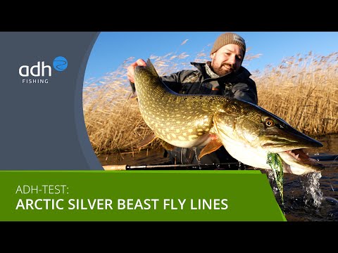 We're testing: Arctic Silver Beast fly lines for pike || Fly Fishing for Pike