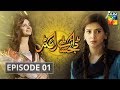 Digest Writer Episode 01 HUM TV Drama
