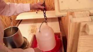 Custom Brooders: Gail Damerow's Hatching & Brooding Your Own Chicks