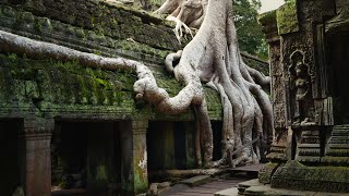 Ta Prohm Temple