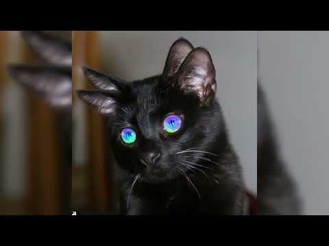 blxxdyfacerixh - LIKE ME [NXSTA]