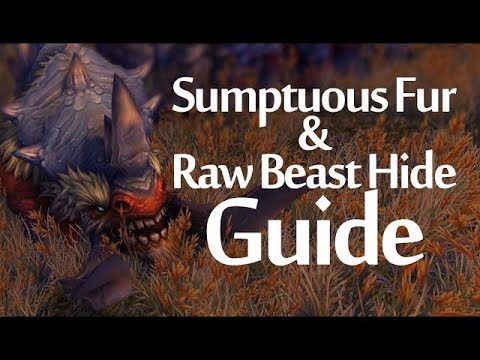 RAW BEAST HIDE and SUMPTUOUS FUR Guide
