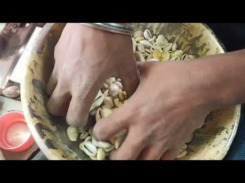 Yellow Sea Shell