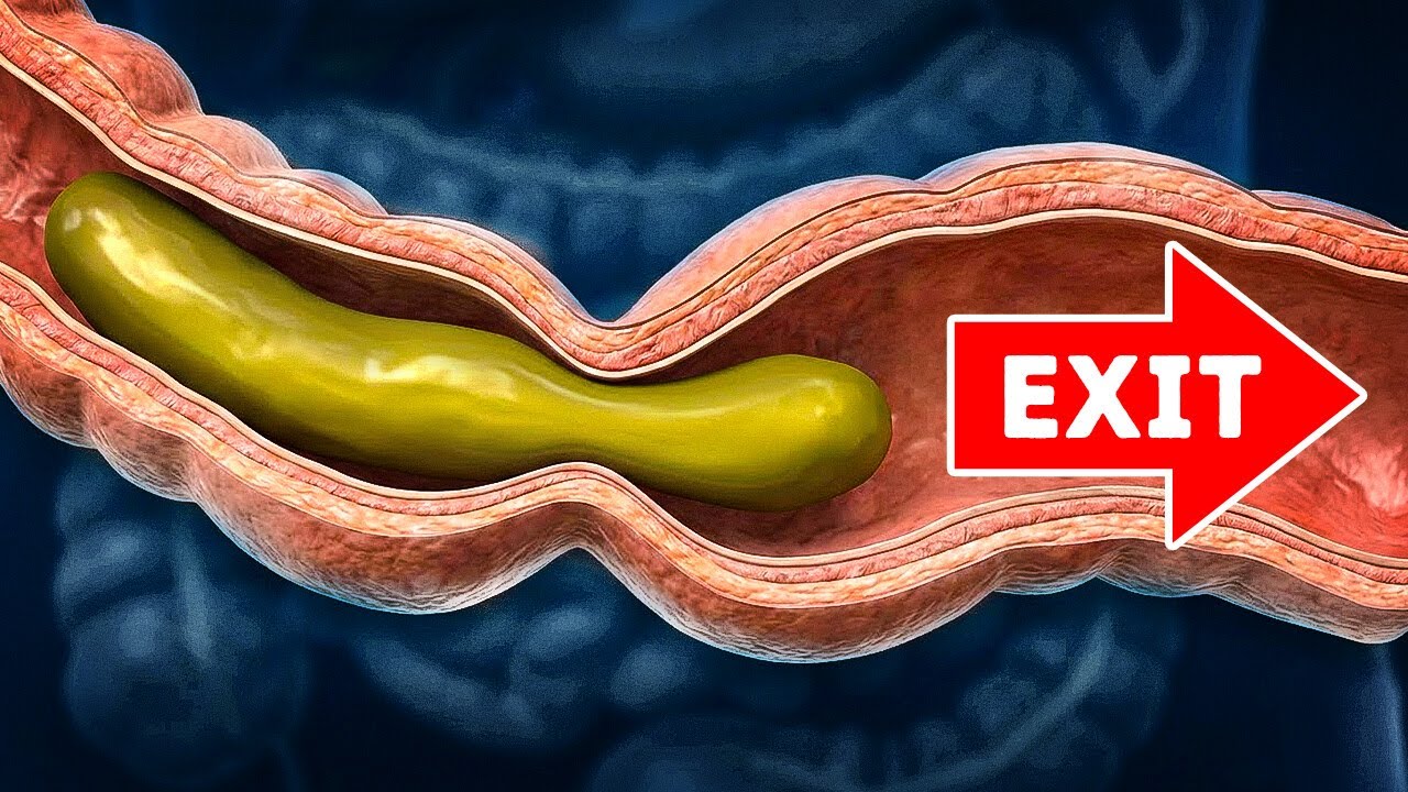 How Your Food Turns Into Poop (And Why Ancient Poop Was Better)