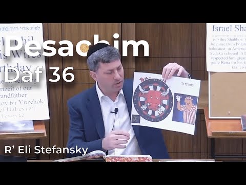 Daf Yomi Pesachim Daf 36 by R’ Eli Stefansky