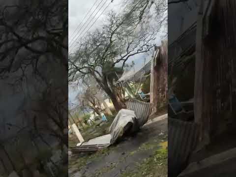 Vendaval Guariba SP - Julho 2026