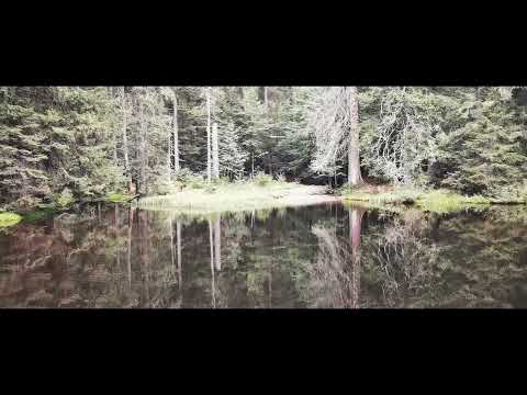 Wanderung auf den Falkenstein