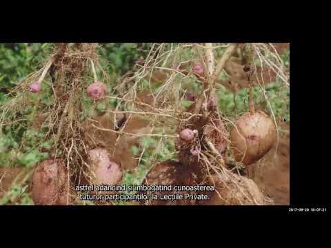 2017 09 20 PM Public Teaching in Romanian - Cursuri publice în română