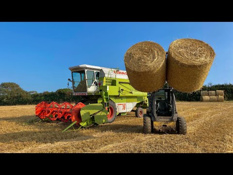 Baling and collecting straw bales for calf bedding