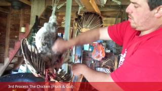 How To Kill & Process A Chicken (GRAPHIC)