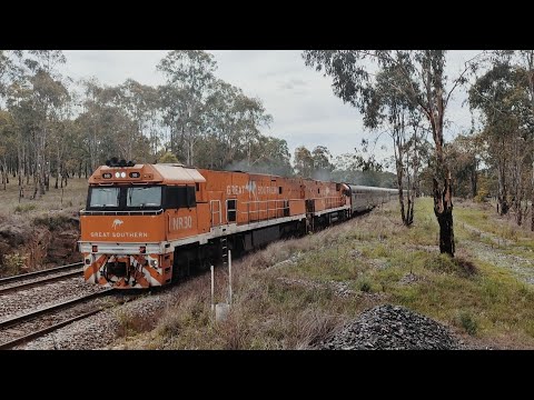 NR30 NR31 Great Southern train Grasstree NSW after departure from Muswellbrook  7 January 2024