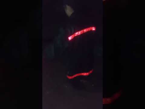 Monte Quemado: intenso trabajo del COE durante la madrugada, para asistir a familias afectadas