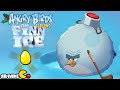 Angry Birds Seasons On Finn Ice Golden Eggs Level 1 Walkthrough