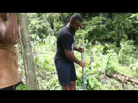 Tei dalo 'o Matts.....lol