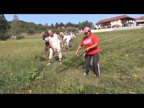 TV5 - Kosidba na imanju Miloša Nikolića u Milićevom selu