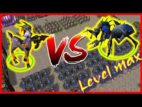 warcraft 3 crypt fiend vs dryad