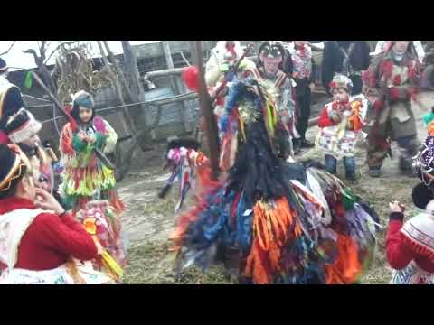 capra bahnaseni 2018