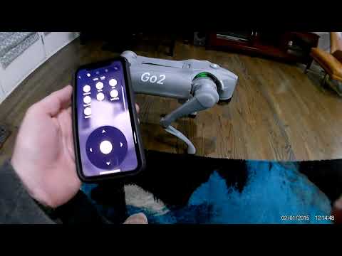 Unitree Go2 Robot Dog Features and Controls Shown