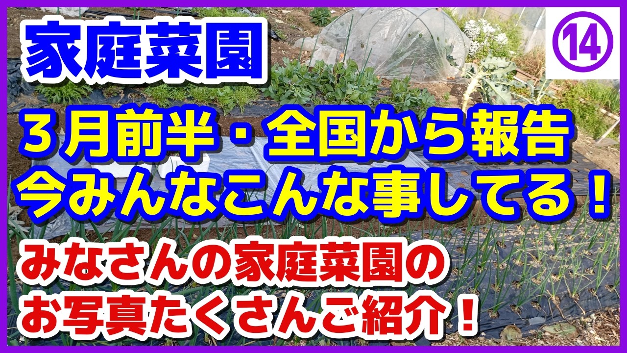 【みなさんの写真】面白い！３月前半・全国（海外も含む）から届いた一般家庭の家庭菜園の今がわかる！みんなこんなことしてる！／vol.14