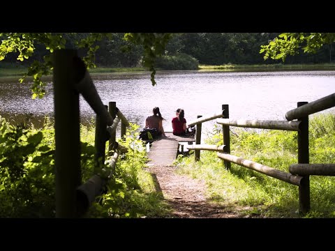 Der VulkaMaar Pfad: Deutschlands Schönster Wanderweg 2021