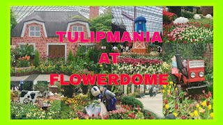 Tulipmania at Flowerdome
