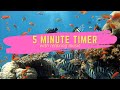 5 Minute Timer with Relaxing Music 2021 -  Aquarium
