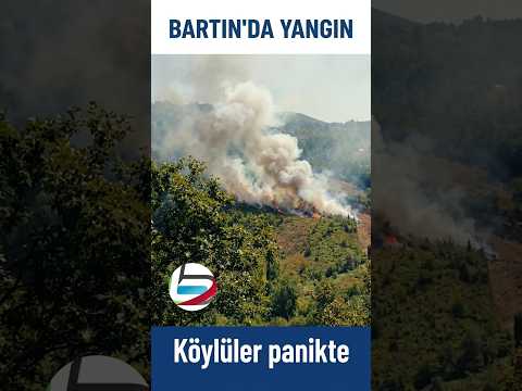 🔥 Bartın'ın Köyünde Anız Yangını Paniğe Neden Oldu!