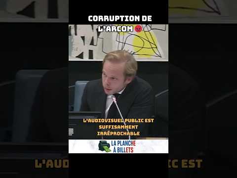 🚨C8, CNews PUNIS… le service public JAMAIS ?! #politique #cnews #c8