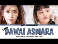 Ridho Rhoma Sonet 2 Dawai Asmara COVER