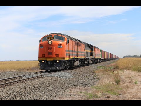CLF4, C501 & CLF2 - 7922V Dooen intermodal at Poorneet, VIC 28/02/21