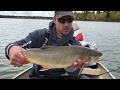 Video Thumbnail for Little Raspberry September 2017