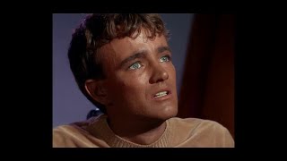 Star Trek -- Being Seventeen