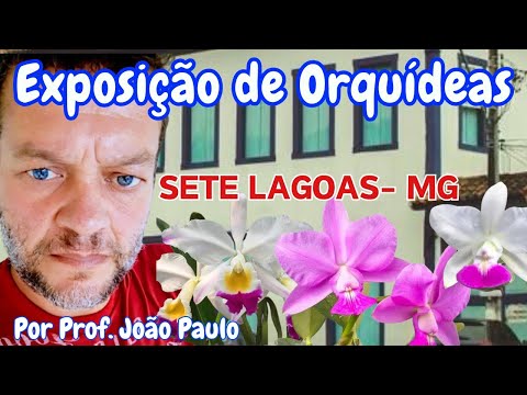 Exposição e Vendas de Orquídeas - Sete Lagoas, MG - by João Paulo