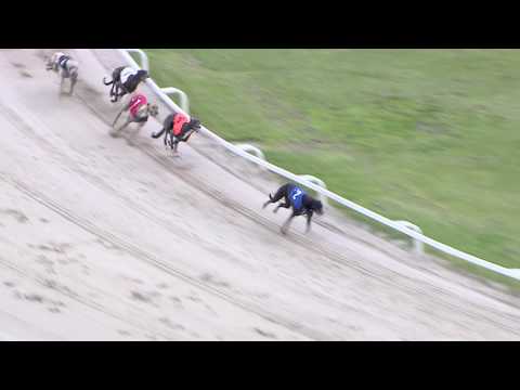 2017 STAR SPORTS DERBY - ROUND 2 - HEAT 1 - T2 PRICELESS BRANDY