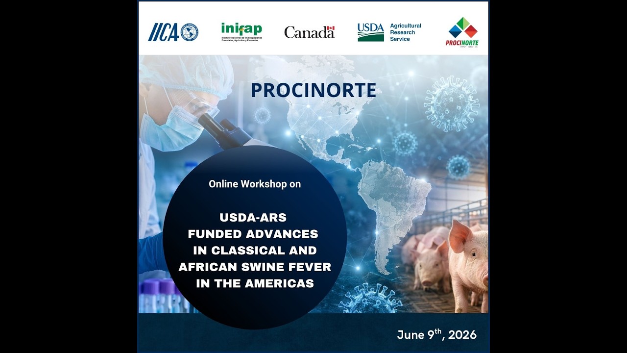 USDA/ARS Funded Advances in Classical and African Swine Fever in The Americas