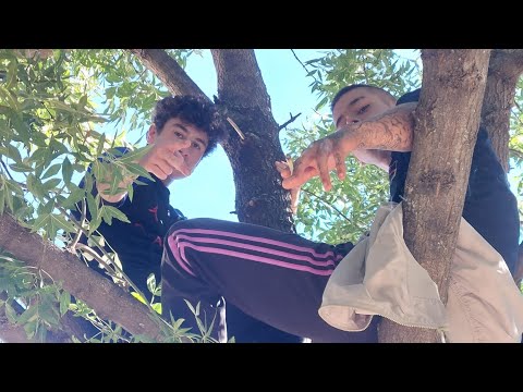 AMERICAN SPIRIT - ARDO440 (Prod. 1ruubthat)