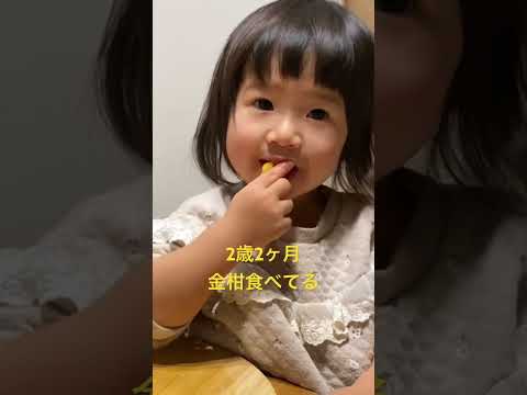 こども学科 記録 2歳2ヶ月 金柑食べてる